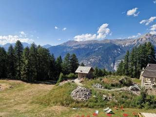 Vista