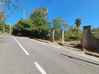 Zona