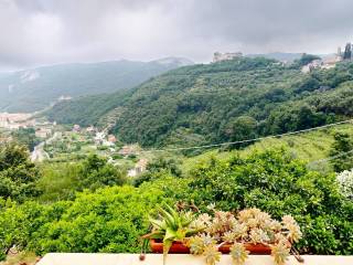 Vista