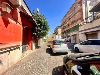 Zona