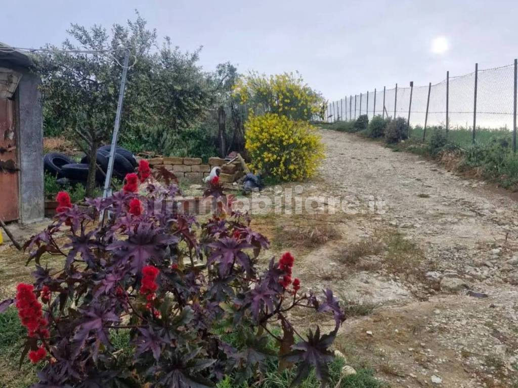 Terreno