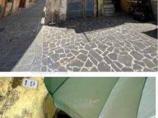 Zona
