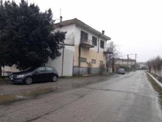 Zona