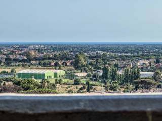 Vista