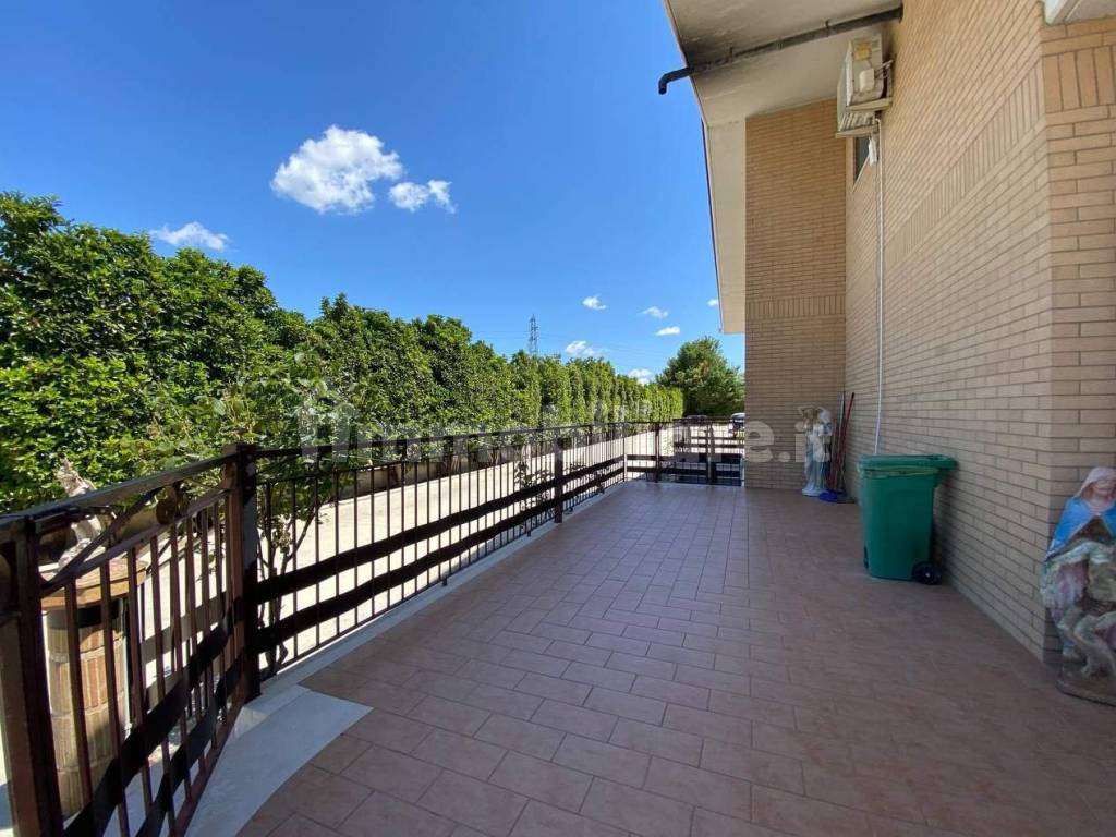 Terrazzo