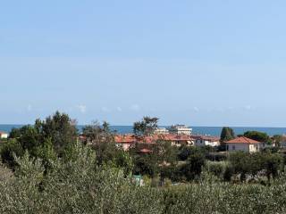 Vista