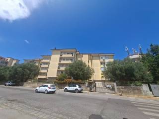 Zona
