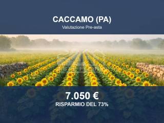 Altro
