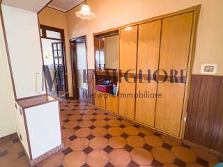 Ingresso