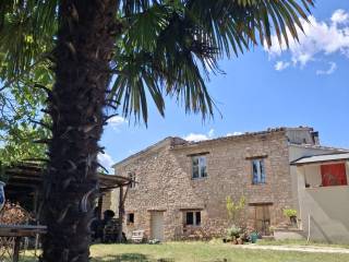 Zona
