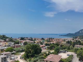 Vista