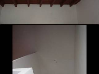 Scala