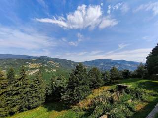 Vista