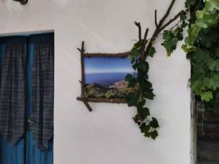 Vista