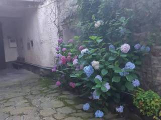 Cortile interno