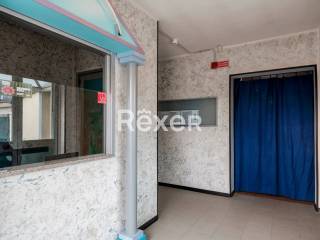 Ingresso