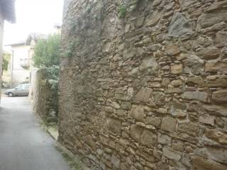 Zona