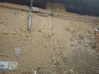 Zona