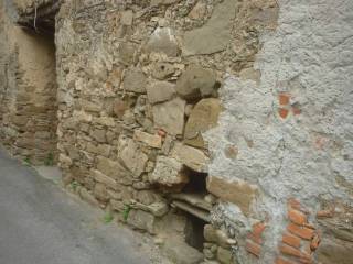 Zona