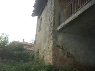 Zona