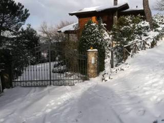 Zona