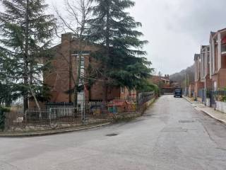 Zona