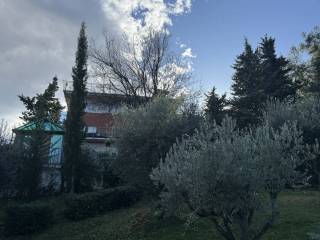 Vista