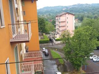 Vista