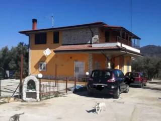 Zona