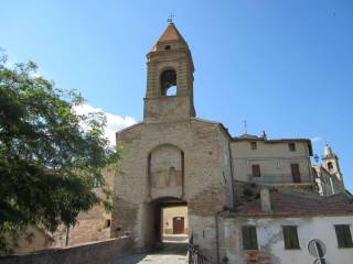Zona