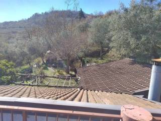 Vista