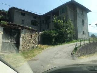 Zona