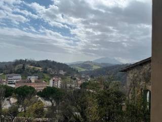 Vista