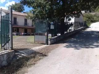 Zona