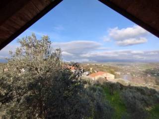 Vista