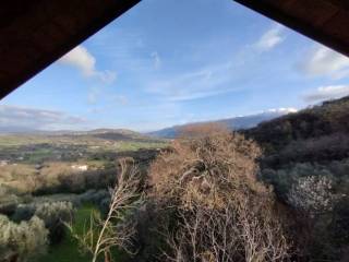 Vista