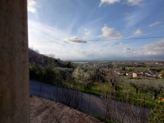 Vista