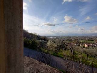 Vista