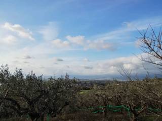Vista