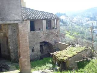 Vista