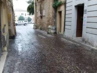 Zona