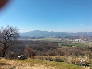 Vista