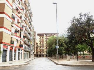 Zona