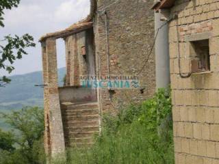 Zona