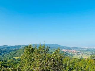 Vista