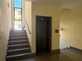 Ingresso