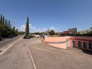Zona