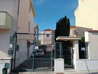 Zona