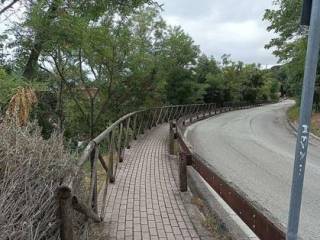 Zona