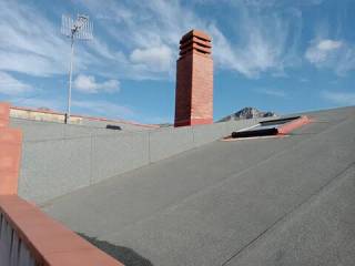 Zona